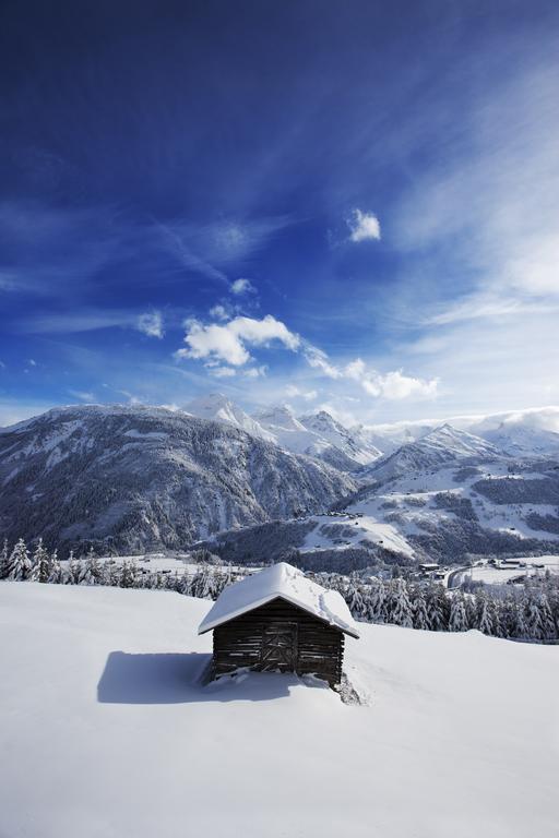 Catrina Lodge Disentis Dış mekan fotoğraf
