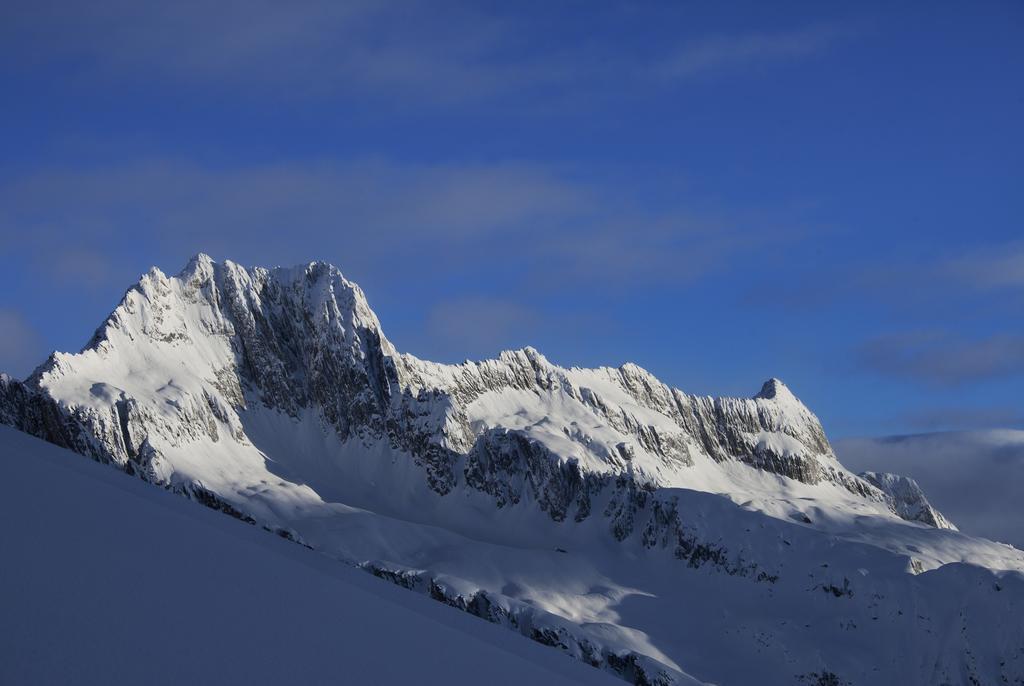 Catrina Lodge Disentis Dış mekan fotoğraf